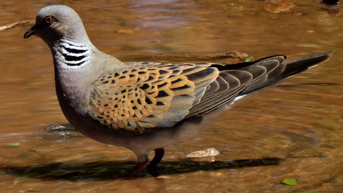 DSC02555.jpg DSC02555.jpg