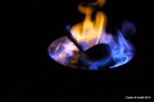 IMG_2572.jpg