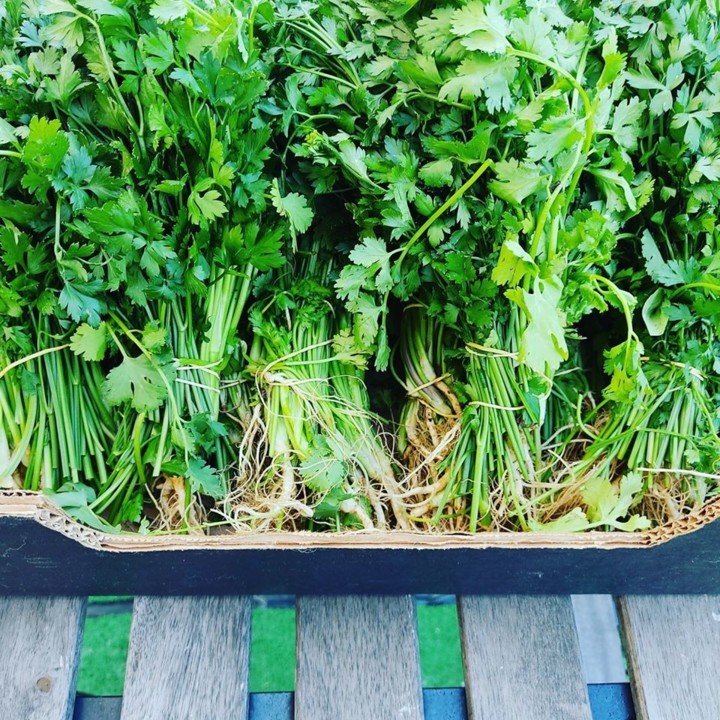 113936144_1766076603532093_1204197803290071725_o.j