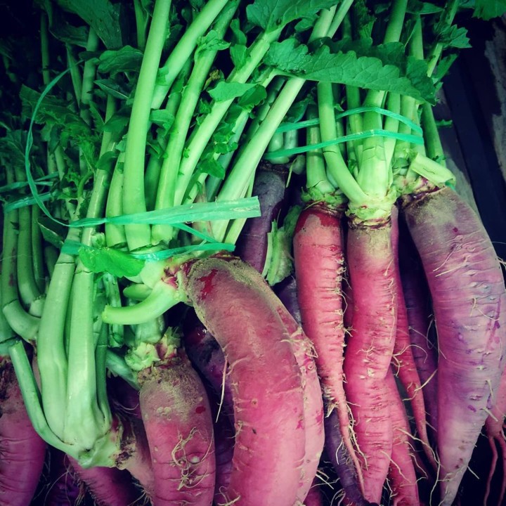 122448061_1846905055449247_7657338207203036402_o.j