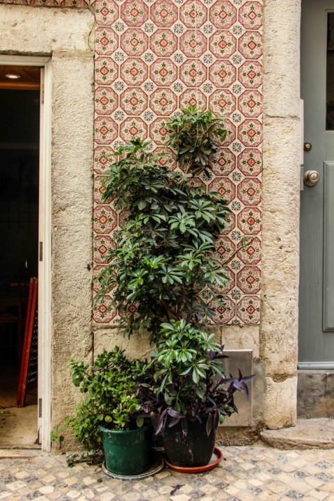 rua da silva 13.jpg rua da silva 13.jpg