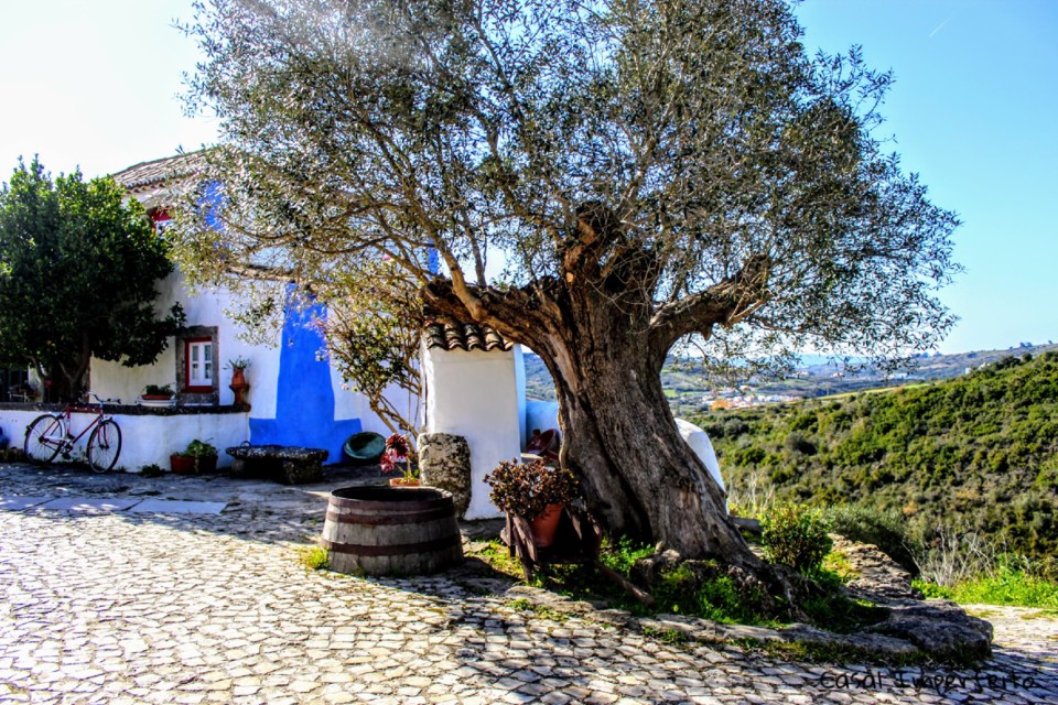 06_02_2022 22_43_26.jpg