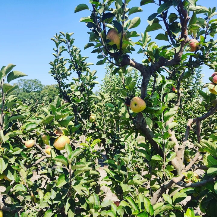 362240194_660806072743473_8396622139595561969_n.jp