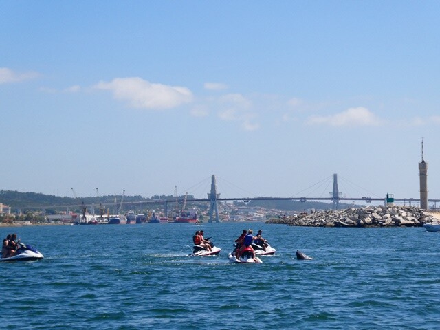 D13_08-10 (209).JPG
