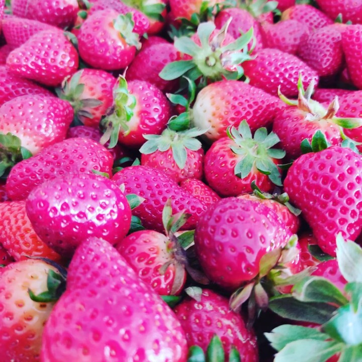 434078308_799656482191764_5044624485104350735_n.jp