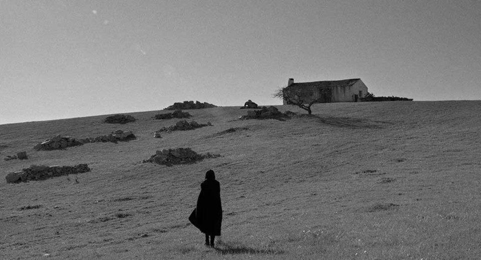 Raiva Sérgio Tréfaut 02.jpeg