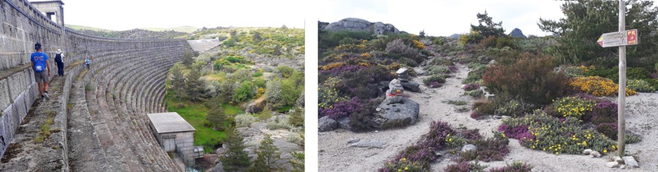 Paredao e trilho.jpg