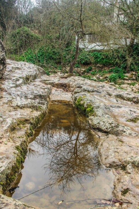 cascata do boição 13.jpg