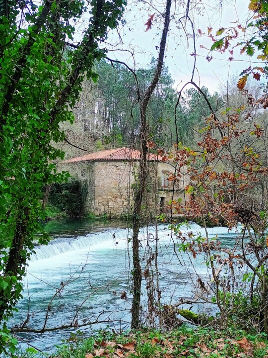 Não me canso disto caminhada3.jpg