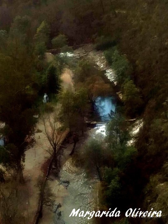 131427234_223588112480811_1257109823153558521_n.jp