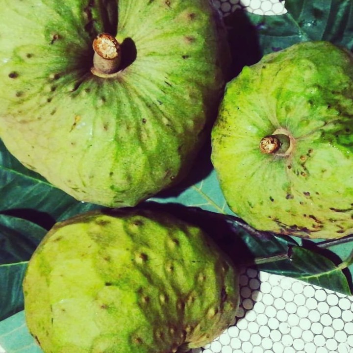 124346286_1869486223191130_4887206355091531726_o.j