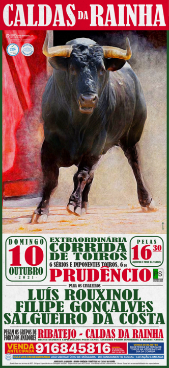 101021 -  Caldas da Rainha.png