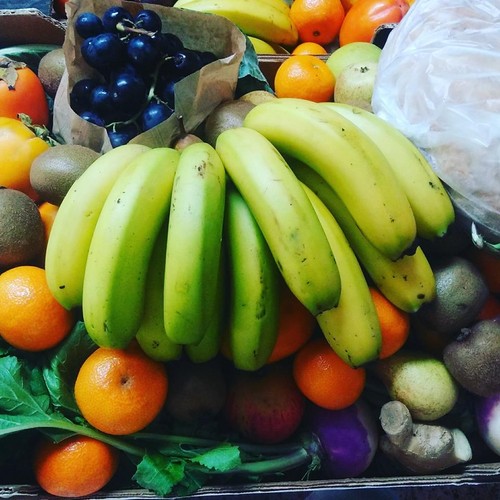 14523030_783205408485889_1715142279125261931_n.jpg 14523030_783205408485889_1715142279125261931_n.jpg