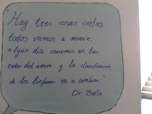 11136711_10202799598429944_6735251098874757552_n.j