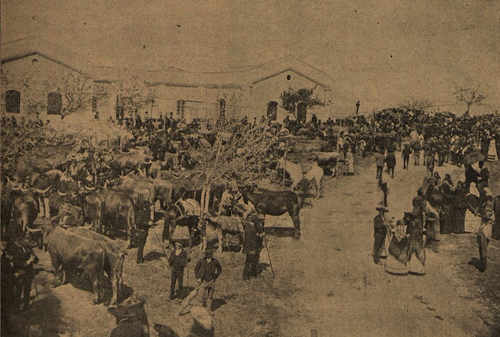 gado alto de s.antónio.png