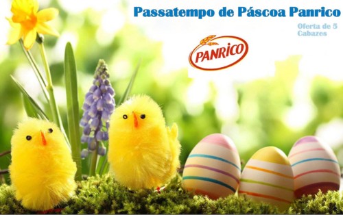 29571295_1915389938472632_6678584960284098560_o.jp