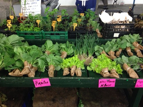 IMG_8469.JPG IMG_8469.JPG