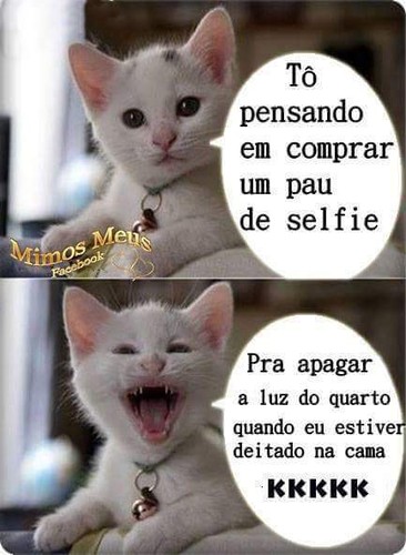 FB_IMG_1472810425945.jpg FB_IMG_1472810425945.jpg