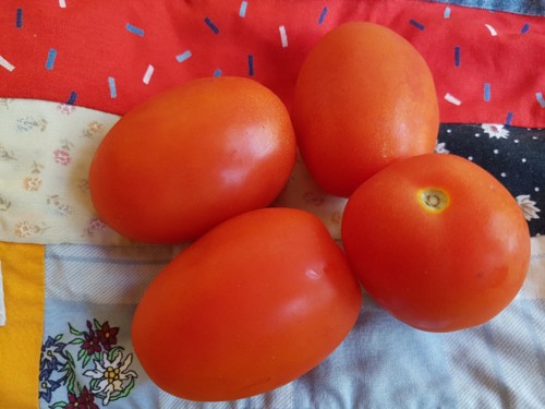 tomates.jpg