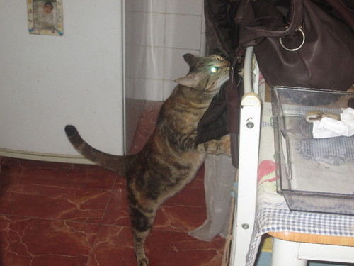 IMG_2193.JPG IMG_2193.JPG