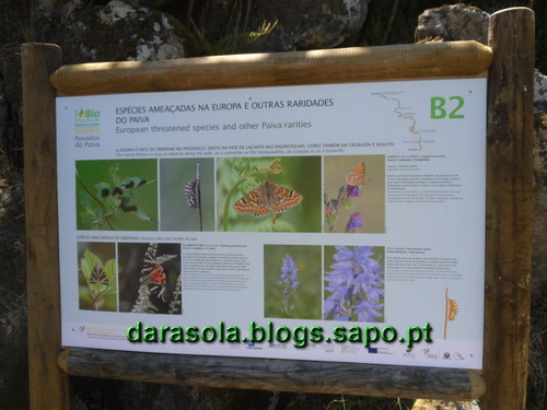 Passadicos_paiva_069.JPG Passadicos_paiva_069.JPG