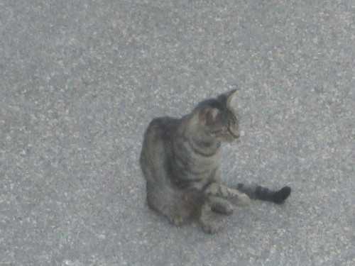 blog 006.jpg blog 006.jpg