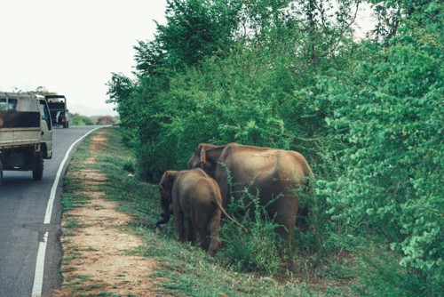 22228668_10214606765272903_1253385624652079794_n.j