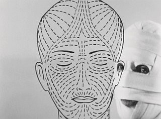 face 1.jpg