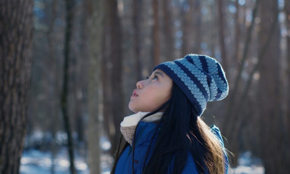 84300-AKU_WA_SONZAI_SHINAI__EVIL_DOES_NOT_EXIST__-