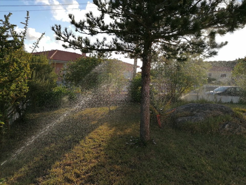 IMG_20200815_193454.jpg IMG_20200815_193454.jpg