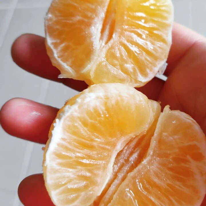 312653362_2446154592190954_7306377578983262390_n.j