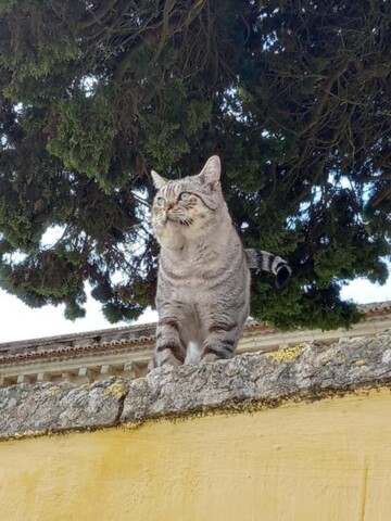 1000021069 - Cópia.jpg