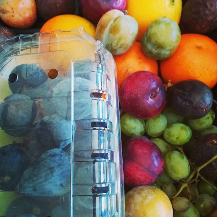 70293689_1460678650738558_3500820545820164096_n.jp