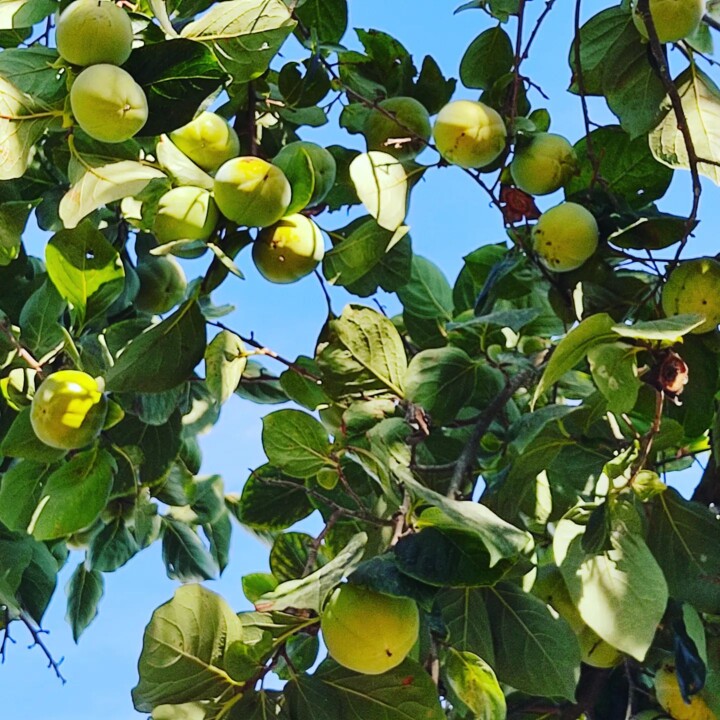 305361172_2404570349682712_2562533506023272020_n.j