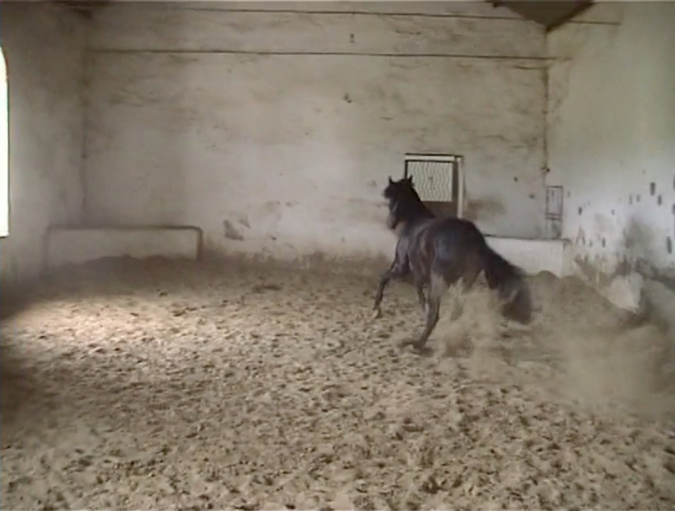 Still de Toile (2006)_Cortesia de Julião Sarmento