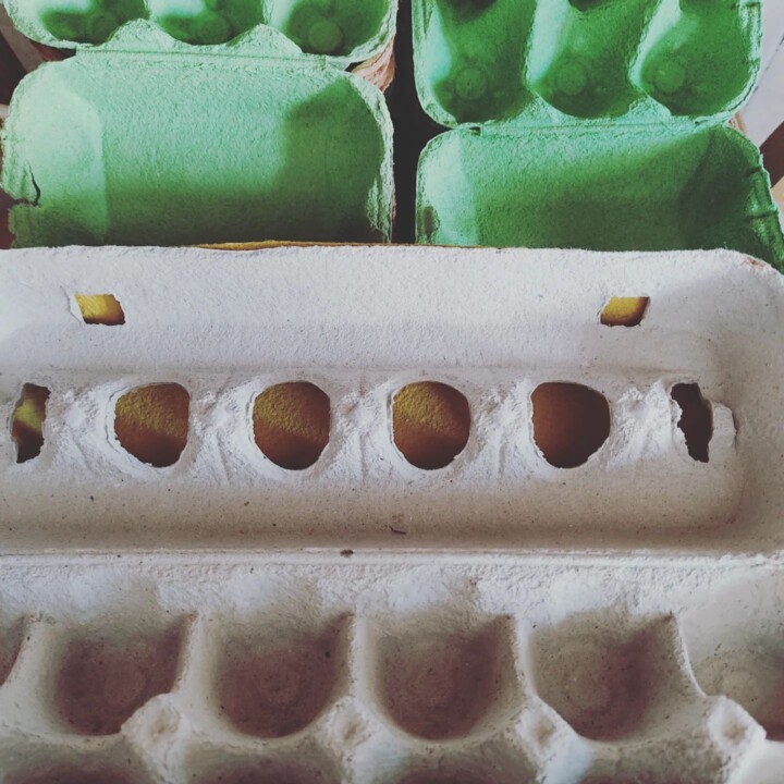 325730758_1170188987224268_7245048740572581956_n.j