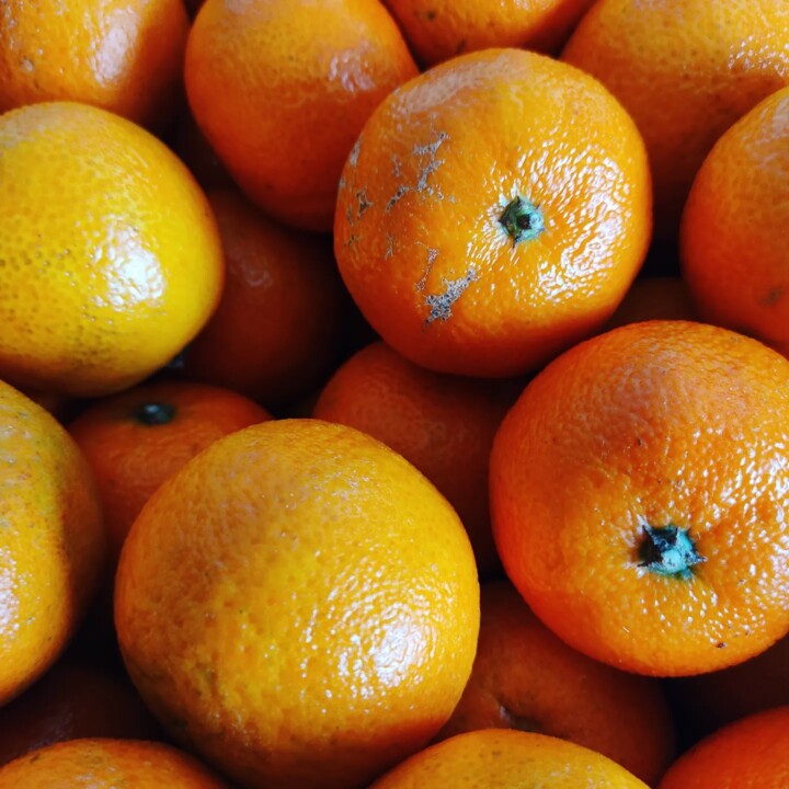 391605785_706417171515696_8107054583270030193_n.jp