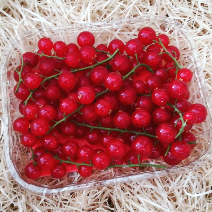 65973061_1406296142843476_7505270829375029248_n.jp