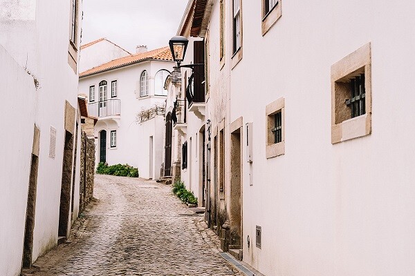 interior de portugal _miguel tamen.jpg