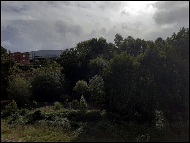 20a_Paisagens (11).jpg