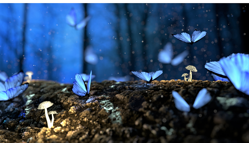 Borboletas na noite_Stargo.png Borboletas na noite_Stargo.png