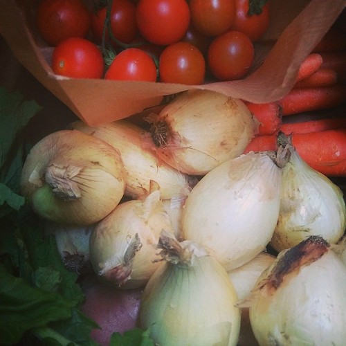 13179461_701471639992600_9019280398535342894_n.jpg 13179461_701471639992600_9019280398535342894_n.jpg