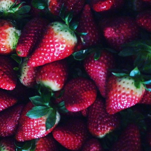 29196187_1064010617072032_2087439638267478896_n.jp