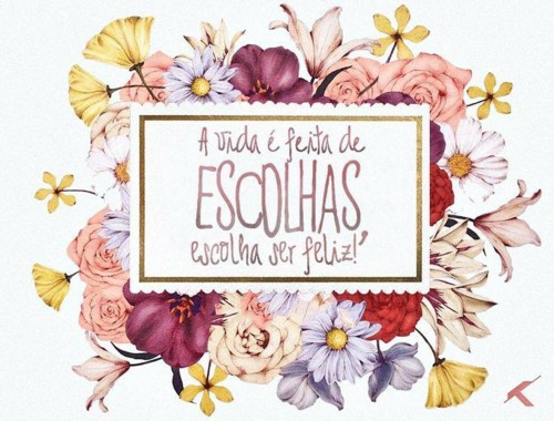 27157584_2090387981189902_1334606781_n.jpg 27157584_2090387981189902_1334606781_n.jpg