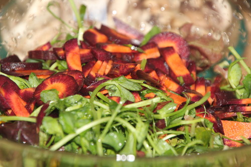 2f dia de perg.JPG 2f dia de perg.JPG