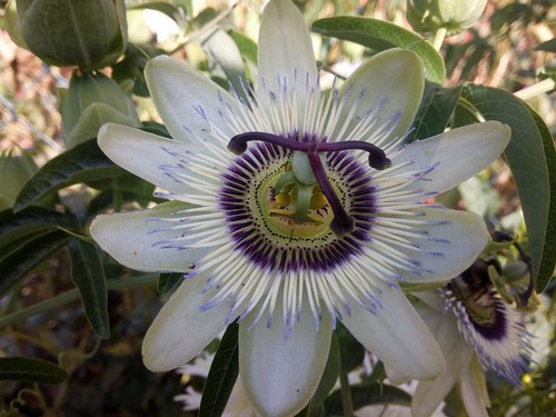 14212580_1076388512446799_5638020820216263936_n.jp