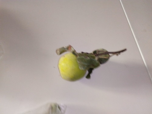 IMG_20181008_104140.jpg IMG_20181008_104140.jpg