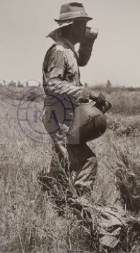 Mateiro a beber agua da bilha.jpg