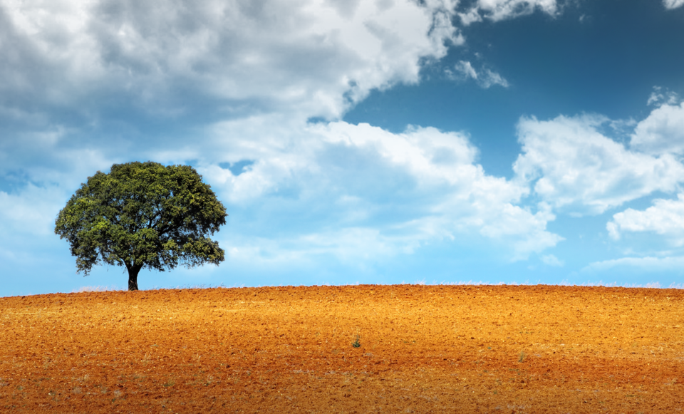 cms-image-000008546.png cms-image-000008546.png