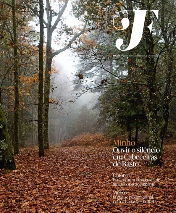 123306401_10158592714767296_6645605020442934671_o.